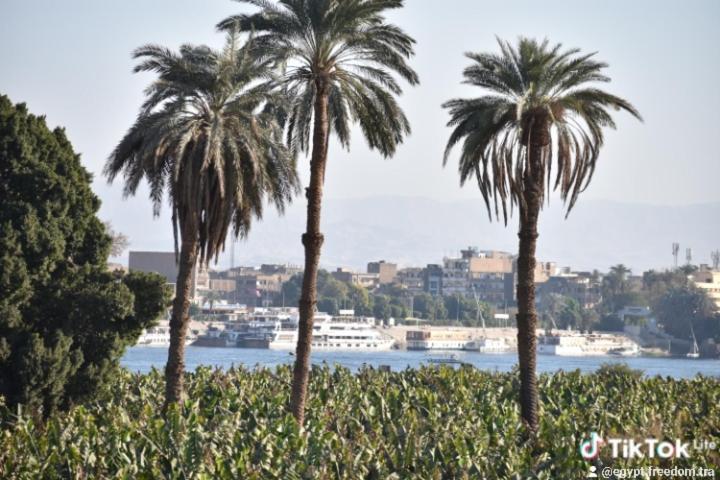 Nanis Nile View *