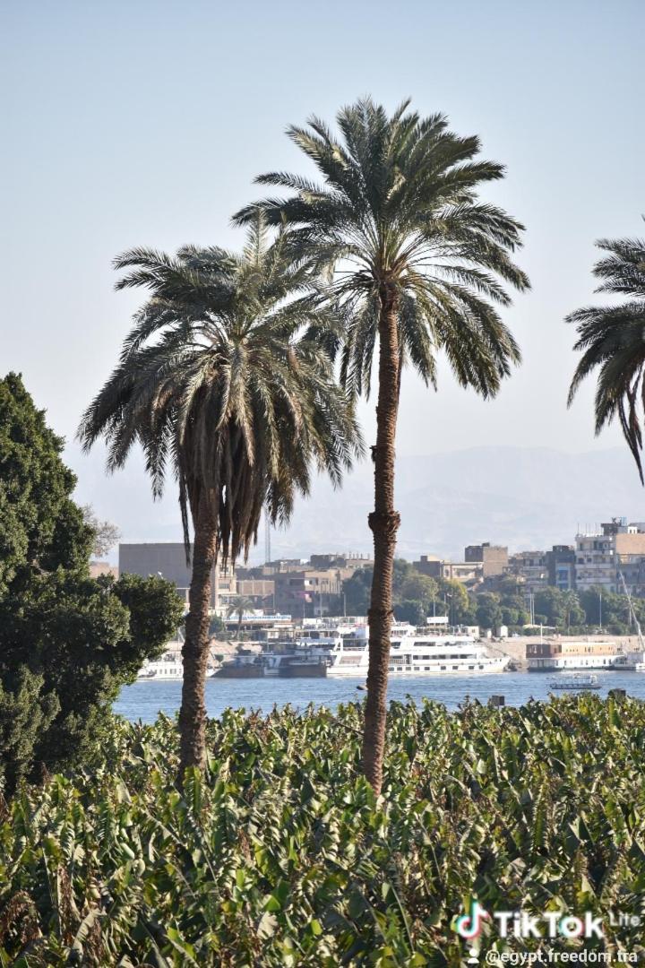 Nanis Nile View *